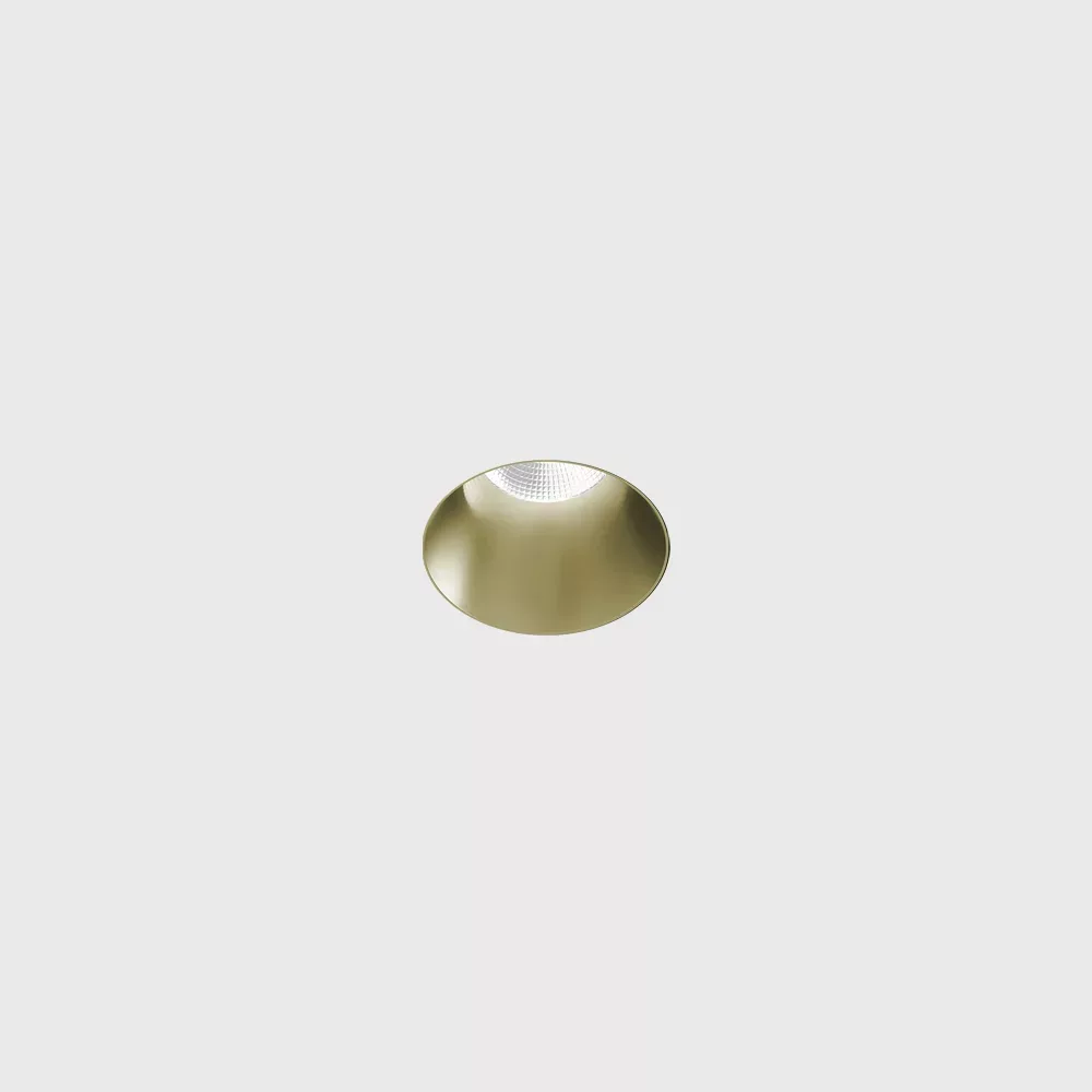 01.3900.8.930.BR_1 Trimless ceiling recessed luminaire NANO R TRIMLESS, D35mm, H67mm, CREE LED 8W, 640Lm, 3000K, 50°, CRI>90, UGR<19, 700mA, IP44, brass color — изображение 1
