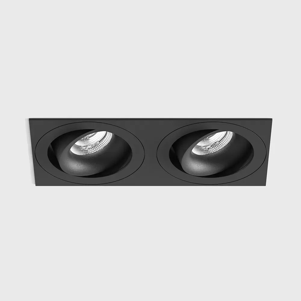 01.6490F2.20.940.BK_1 Adjustable recessed ceiling luminaire with frame RIO A F2, L226mm, W110mm, H55.5mm, BRIDGELUX LED 2x9W, 250mA, 2x989Lm, 4000K, 50°, CRI>90, IP20, black color - imagine 1