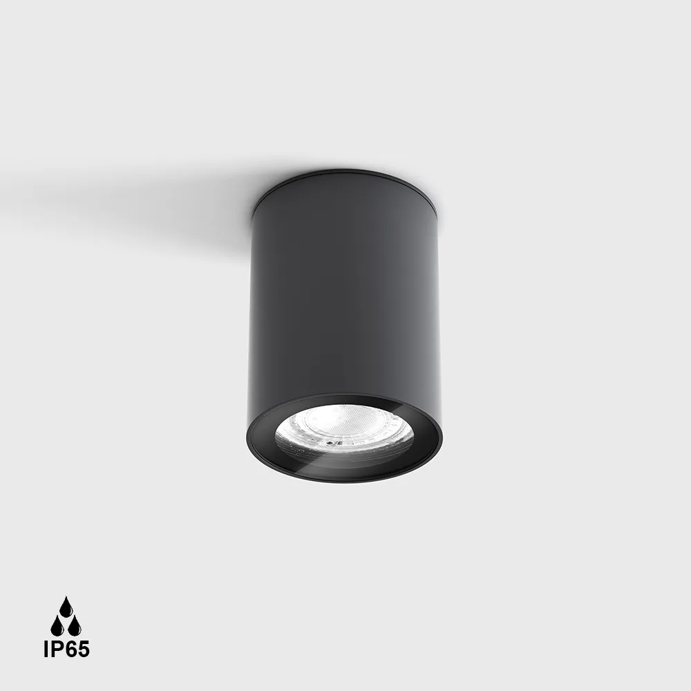 08.1100.7.000.GR_1 Surface-mounted ceiling luminaire KASK, D68mm, H90mm, GU10 max.7W LED (not included), IP65, transparent glass, graphite color - imagine 1