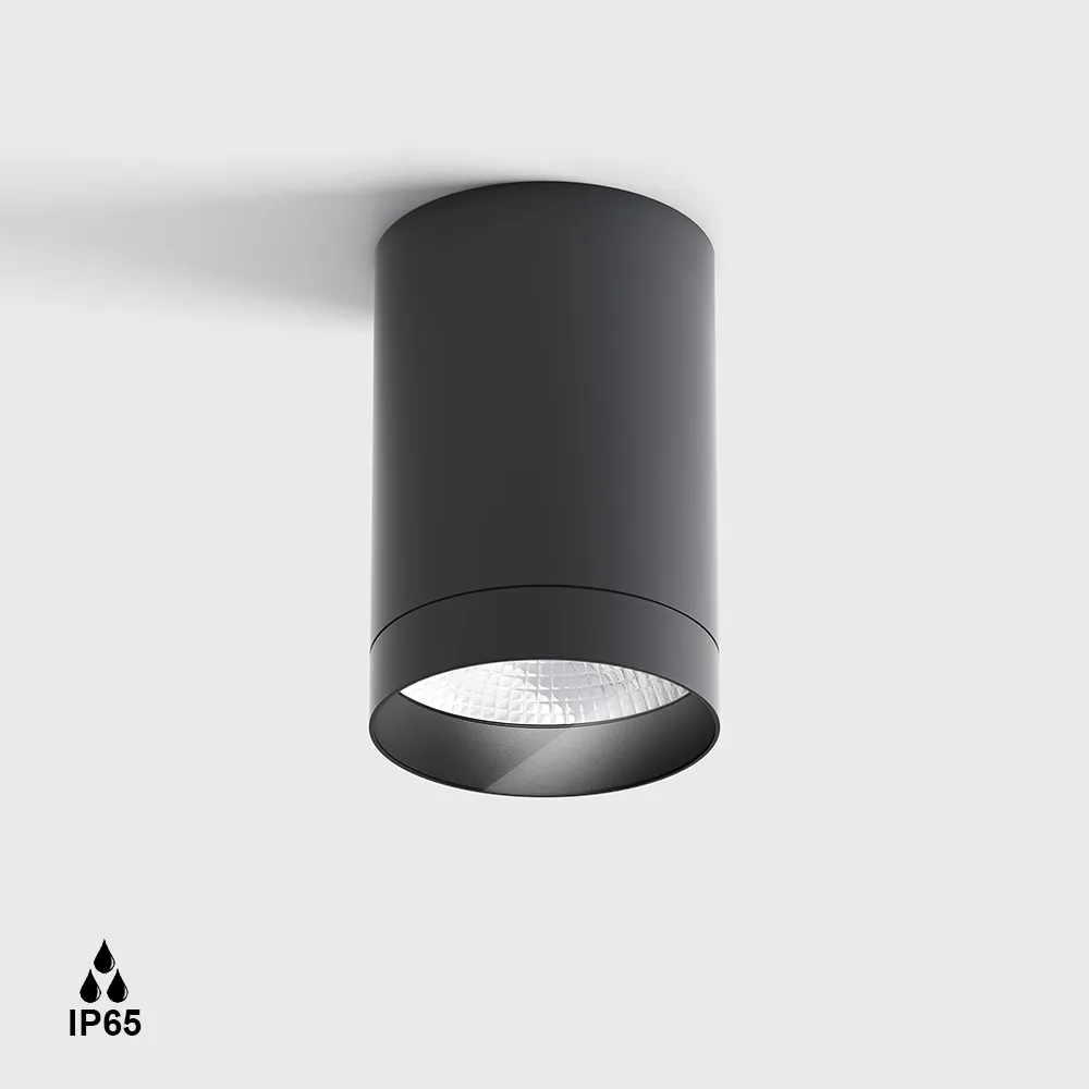 08.1111.9.930.GR_.50_1 Surface-mounted ceiling luminaire BARREL76 S, D76mm, H114mm, LED 9W, 3000K, 50°, 1200Lm, CRI>90, 220-240V, IP65, transparent glass, graphite color - imagine 1