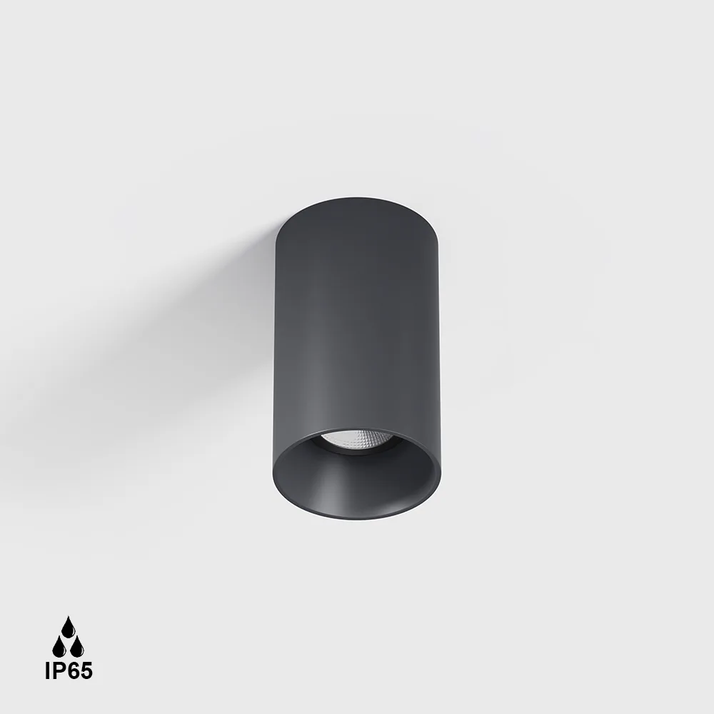 08.1141.4.930.GR_1 Surface-mounted ceiling luminaire URBAN, D44mm, H77mm, LED 4W, 3000K, 50°, 113Lm, CRI>90, 220-240V, IP65, transparent glass, graphite color - imagine 1