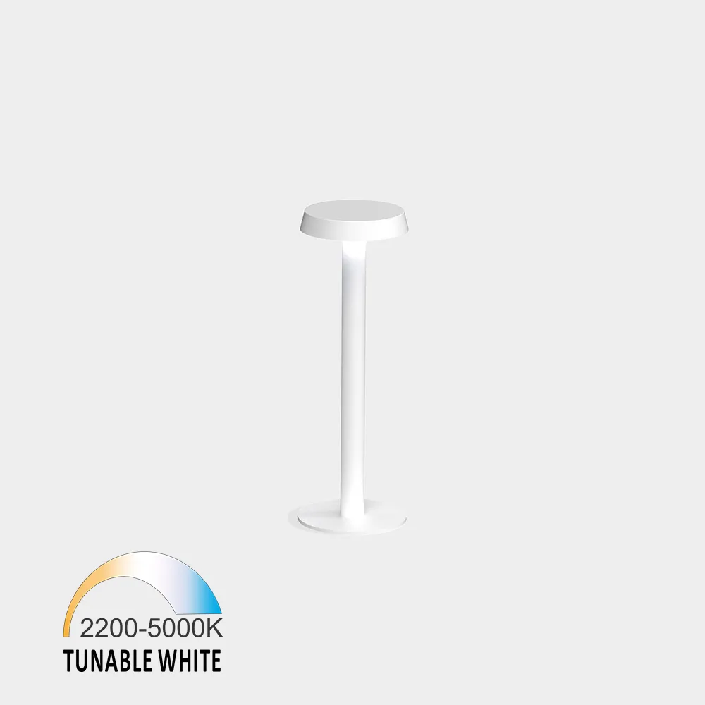 10.3512.02.TW_.WH_1 Table light MOON, D116mm, H350mm, LED 2W, Tunable white (TW):2200K-5000K, battery life around 6 hours after full charged, IP20, touch control, white color - imagine 1